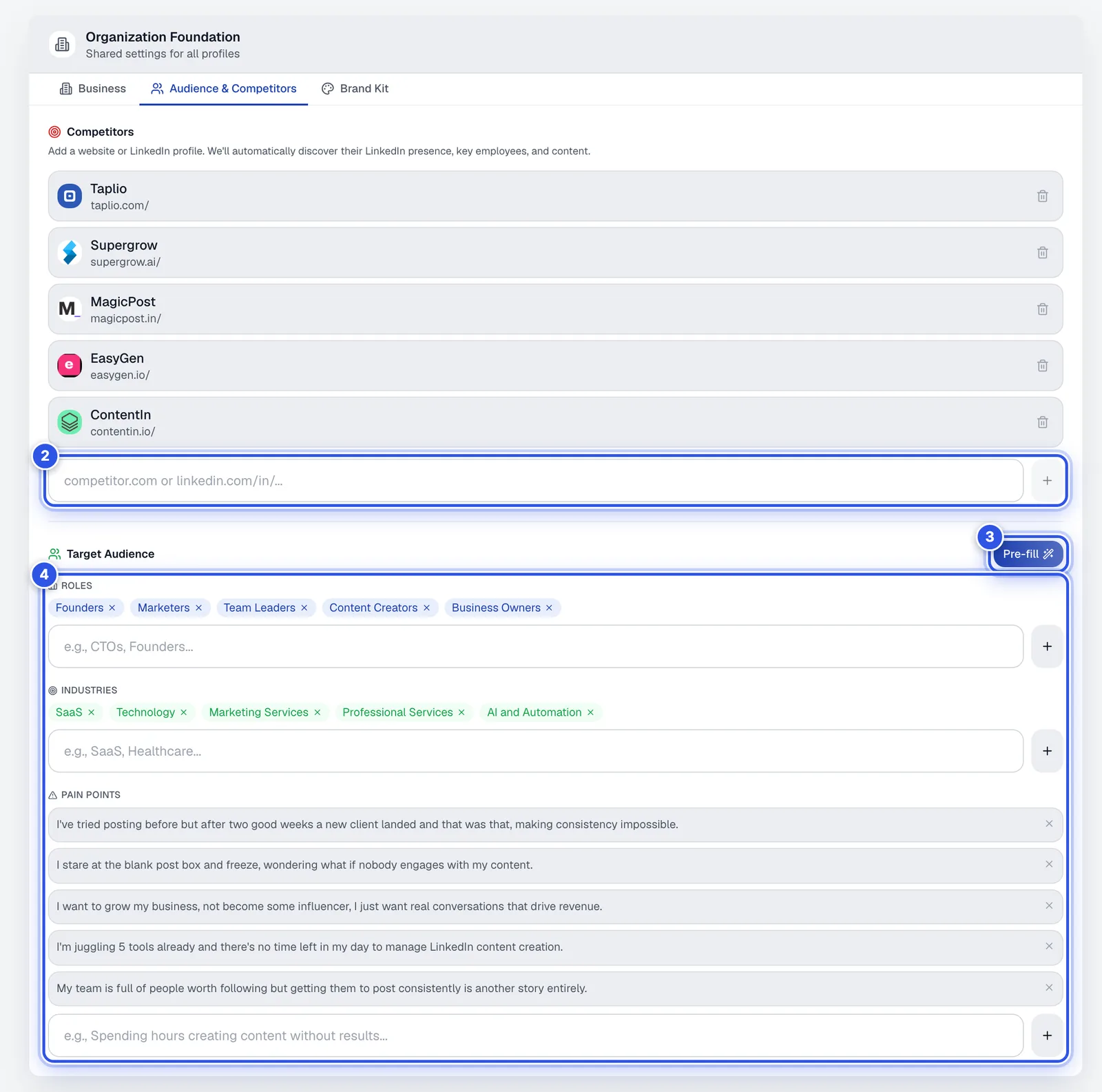 The Audience and Competitors tab with competitors and target audience lists