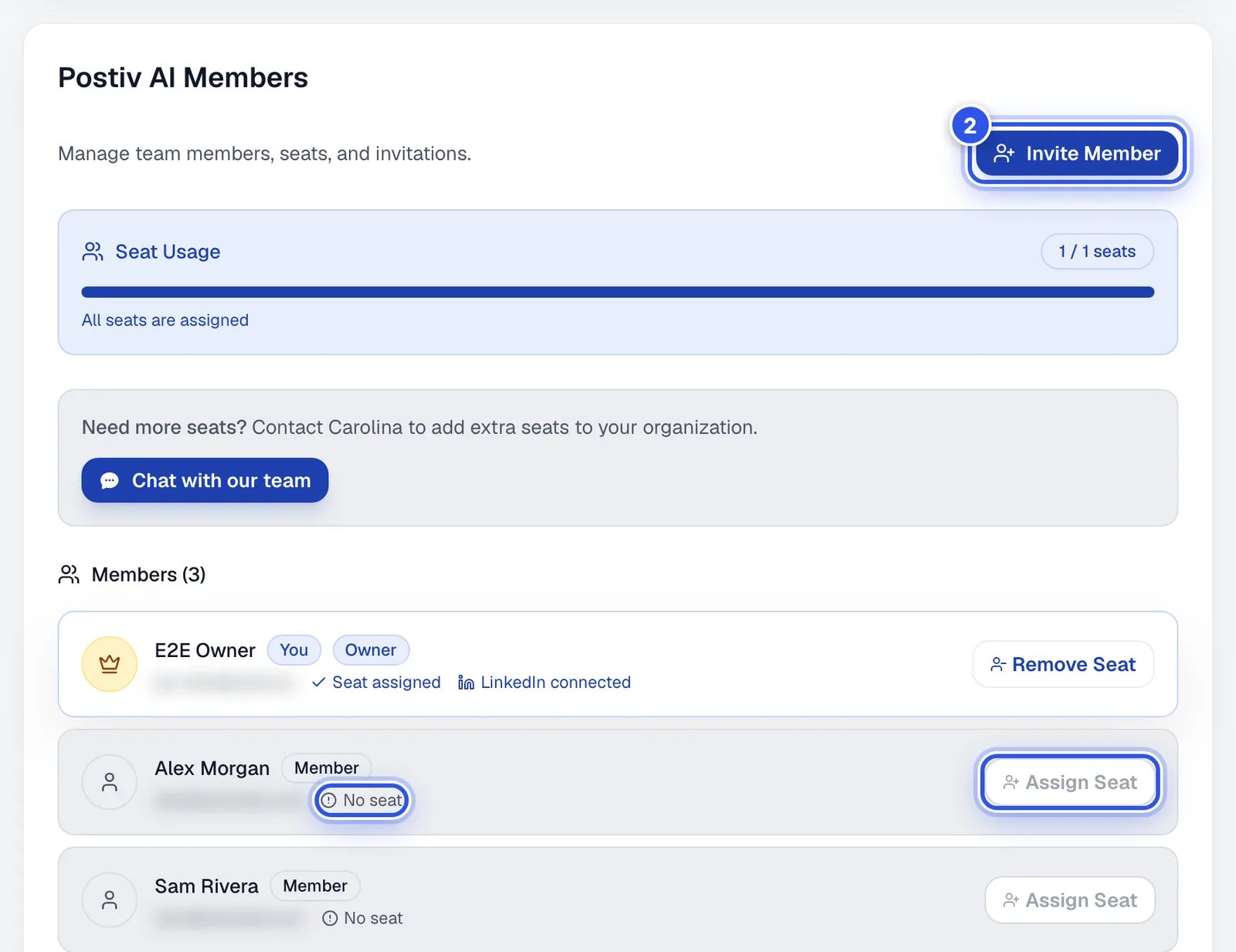 The Organisation and Team settings with the Invite Member button and the member list