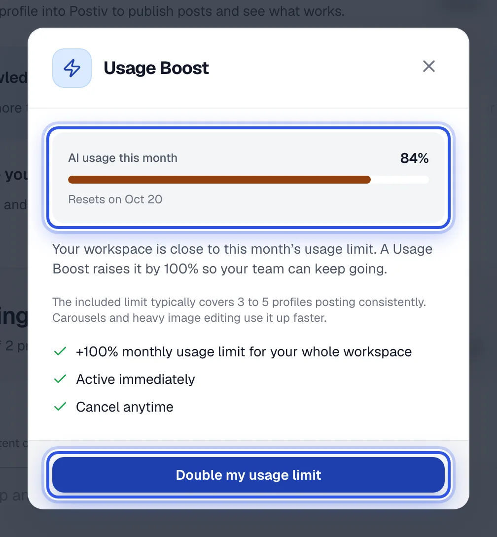 The Usage Boost window showing AI usage this month, a progress bar and a button to raise the limit.